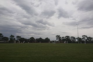 A cricketing summer