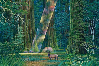 From Separation to Symbiosis: Rethinking Our Place in the Ecosystem