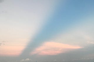 Day 14 | 365 days of goddamn joy