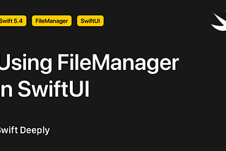 Using FileManager in SwiftUI