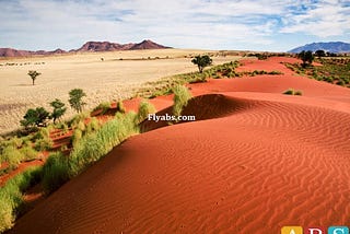 Journey through Namibia with Fly ABS