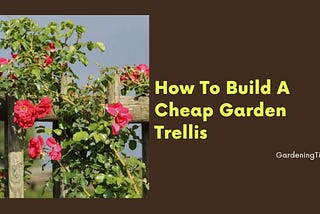 How To Build A Cheap Garden Trellis — Gardening Tips