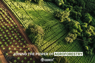 Joining the Power of Agroforestry: A Sustainable Solution for Prosperity and Planet
