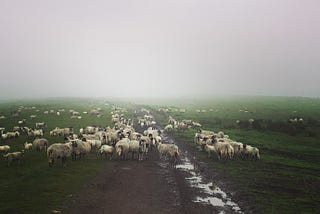 Running Gritstone — A Very British Trail