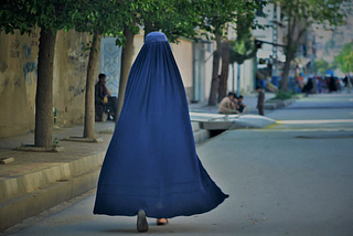 Politics and Such: The New Afghan State