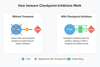 Why This Patient Survived Glioblastoma When Most Do Not?