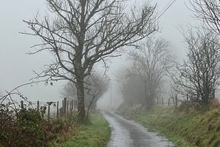 A country lane curving to the left, with naked trees on either side. the lane disappears into the winter fog.