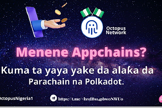 Menene appchains, ta yaya yake da alaƙa da Parachain of Polkadot