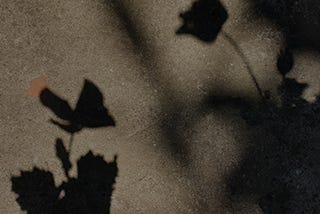 Cómo aplico mi Diseño Humano en la comunicación de mi negocio