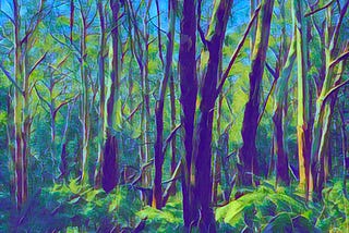 A view through thick forest with a ferny understorey below dark trunks, glimpes of blue sky above.