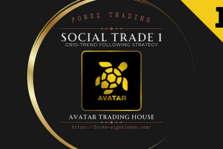 Exness Social Trade Signals: STABLE GAIN V1