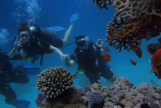 Scuba Diving in the Philippines — 6 Top Spots