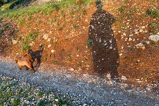 Einsichten und Erfahrungen aus dem einmonatigen Schweigeretreat