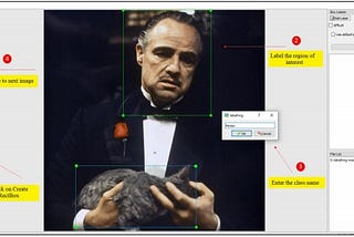 YOLOv3 Custom Object Detection with Transfer Learning