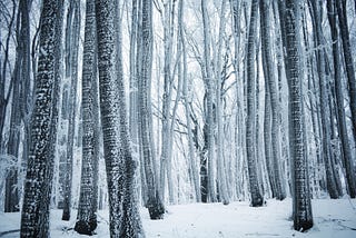 Seasonal Affective Disorder and the Winter Blues