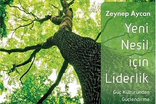 Yeni Nesil için Liderlik | Zeynep Aycan | Kitap Özeti