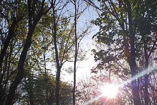 LUTJE