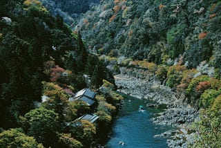 What I learned from my parents