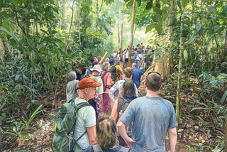 Accomplices Assist Old Man in Daring Escape from Costa Rica’s Manuel Antonio Park