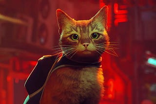 Stray — the immersive lost cat simulator the world needs right now