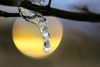 Moonlit