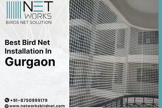 Best Bird Net Installation in Gurugram @NetworksBirdNet