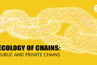 Ecology of Chains: Public And Private Chains