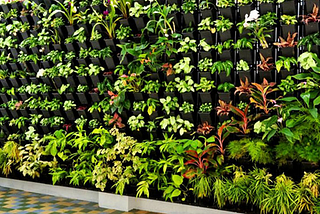 Living Walls — A Solution to Reclaim Our Spaces