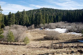 Abandoned mines of Central Oregon