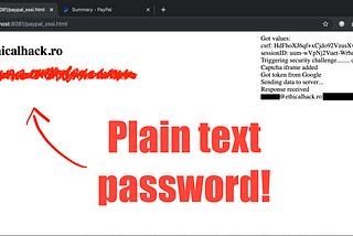 The Bug That Exposed Your PayPal Password