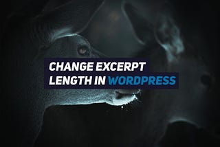 How to change excerpt length in WordPress