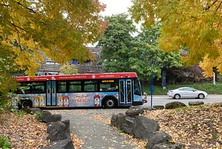 A TriMet bus with a Kombucha ad on the side of it framed by maple trees in yellow fall color leaves.