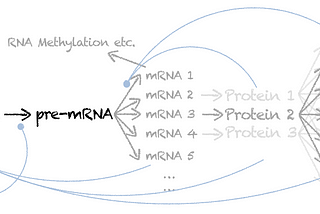 Why systems biology needs empiricism