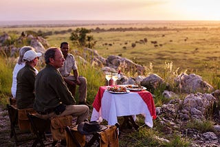 Why Should Someone Choose Or Select Luxury Safaris in Tanzania?