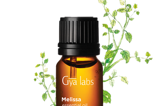 Melissa Essential Oil Recipes are the focus of this week’s spotlight.