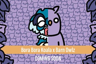 Bora Bora Koala x Barn Owlz