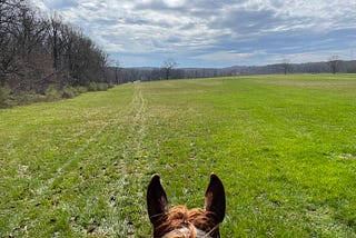 Life Lessons from Ridecamp