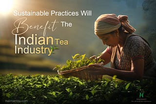 Sustainable Practices in Indian Tea Plantations