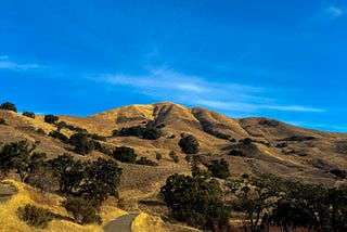 Unlock the Hidden Beauty of Silicon Valley with This Stunning Hiking Trail!