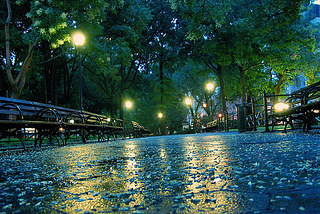 Rainy Night, Central Park, New York City