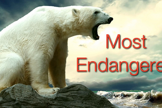 Endangered Animals