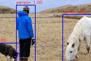 Introduction to Object Detection Algorithms