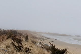 Designing for New York’s Shifting Shoreline- Gateway National Park