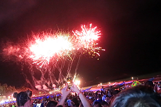 Fireworks Traumatize & Kill Animals