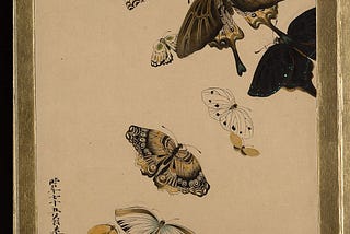 Lacquer Paintings of Various Subjects: Butterflies  dated 1881 by Shibata Zeshin Japanese