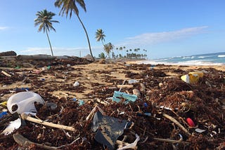 An Ocean Without Plastics?