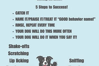 Want to get your dog to calm themselves down?