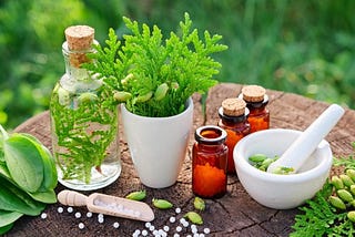 Embracing Traditional Naturopathy: A Holistic Approach to Healing