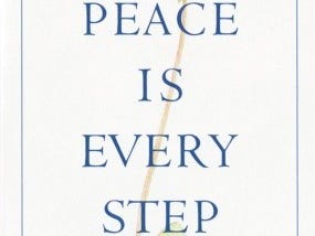 Peace Is In Every Step by Thich Nhat Hanh— Book Summary