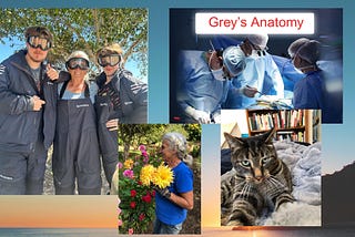 Photos of the female author ready to go on whale watching trip with her grandkids, of the author holding dahlias in the garden, of her cat, Darwin, and an image of surgeons with the words ‘Grey’s Anatomy’.